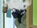 Naruto's eraser booby trap...works on a jounin?