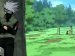 sasuke: 